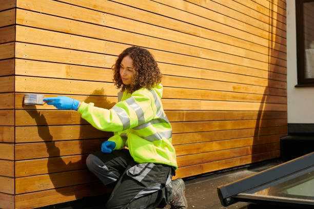 Best Siding Painting and Refinishing  in Loma, CO