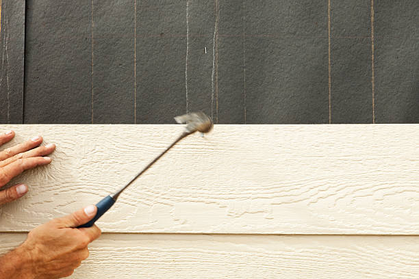 Best Vinyl Siding Installation  in Loma, CO